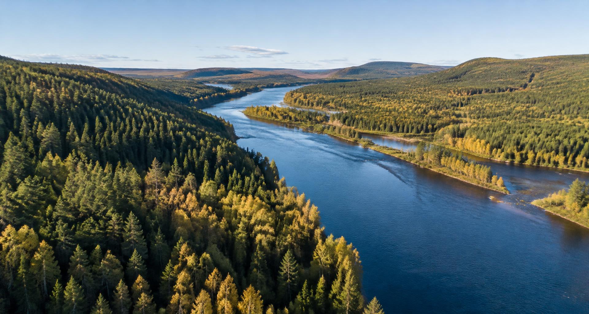 Illustration av älven och skogslandskapet i Dalarna